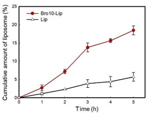 Mucoadhesion improvement