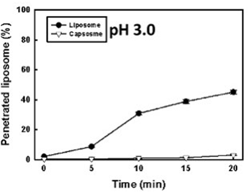 Enhanced stability in vivo