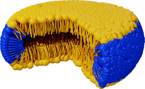 Glidacell Structure