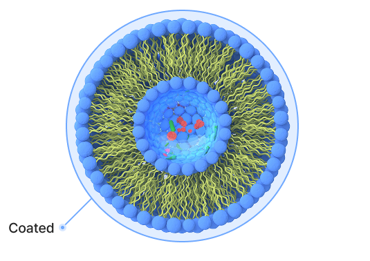 Lipid coating structure