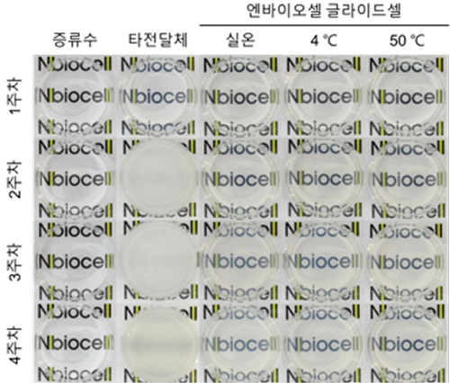 Comparison Image