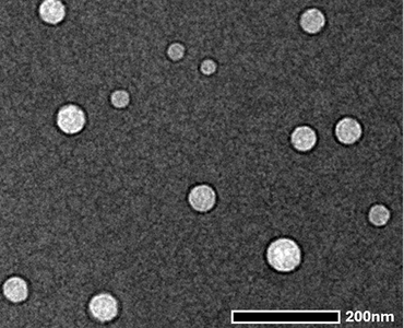Liposome TEM