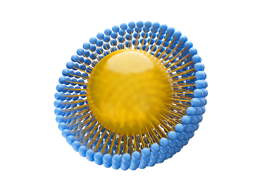 PLA nanoparticle illustration