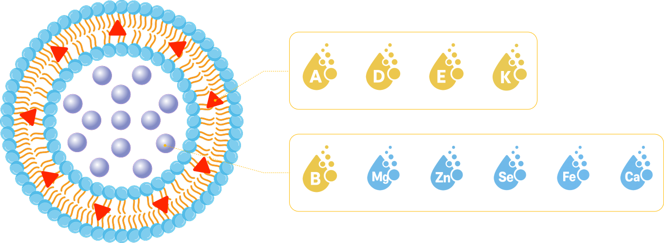 VitaCare liposomal supplement concept