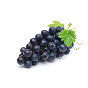 Resveratrol
